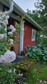 Lillstugan, Skördefall - Image 5