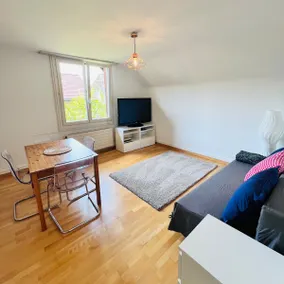 Basic Flat in Swiss Chalet - Image 4