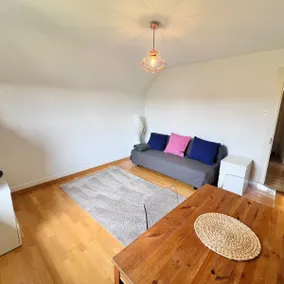 Basic Flat in Swiss Chalet - Image 5