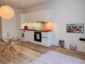 Large apartment 5 minutes from the train station/lake - Image 5