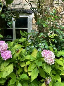 Thatched Cottage 2 Bed 2 Bath in Stour Provost near Shaftesbury and Longleat - Image 3