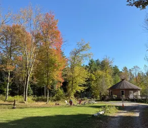 Hillside Cabin-Yurt - Image 3