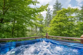 Unique Log Cabin/Private/HOT TUB! The Bird's Nest - Image 4