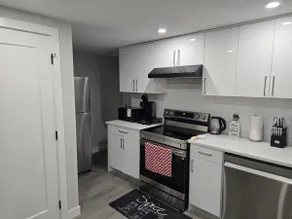 Brand New Luxury Basement - Image 3