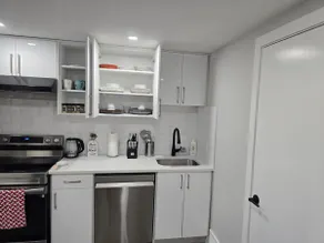 Brand New Luxury Basement - Image 4