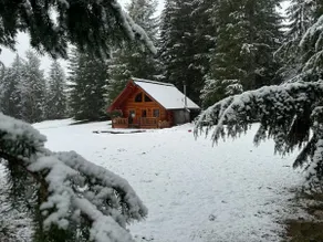 Private Mt. Hood Views, Wildlife & Stargazing - Image 3