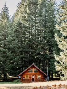 Private Mt. Hood Views, Wildlife & Stargazing - Image 2