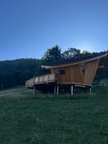 Unusual Hut - Leaf Hut - Image 4