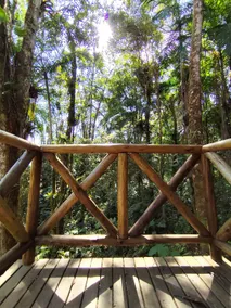 Surucuá Cabin | Tiny House with Hot Tub - Image 4