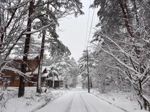 Snow globe cabin with car 一棟貸し切りの別荘 - Image 3
