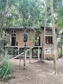Nature Home near Colombo Airport - Image 2