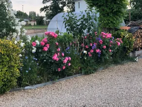30 m2 apartment and private garden - Image 2