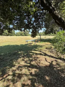 The Nest in the Garden - Image 4