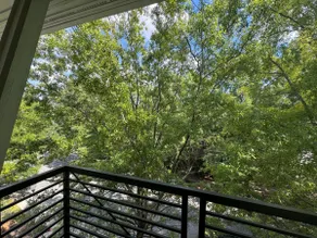 Treetop Loft Studio – Walk to Uptown Hotspots - Image 5