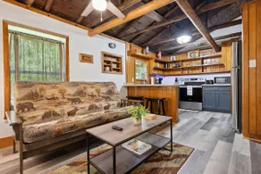 Hidden Gem Cabin in Interlachen - Image 4