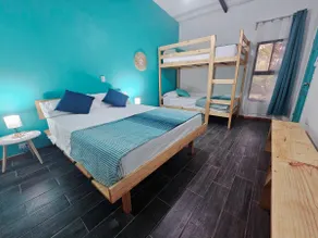 Casa Selvamar, un oasis en la selva - Image 2