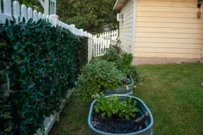 Family/Pet Friendly home in Kyle - Image 2