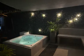 Minimalist House with Private Jacuzzi and Pool - Image 3