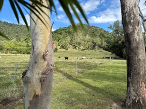 Brandy Creek Hideaway - Image 4