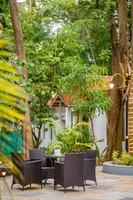 Aeraki palms - Image 3