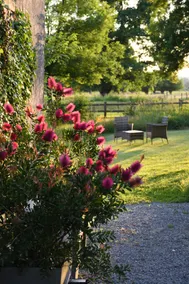 Luxury cottage with 2 bedrooms and 2 bathrooms - Image 2