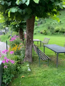La Vite Vacation Home - Image 5