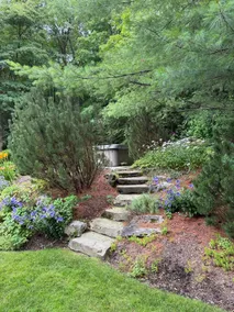 Beautiful House in the Woods, Huge Yard, Hot Tub - Image 3