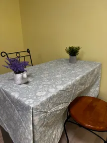 Luxurious Apartment in St. John’s - Image 2