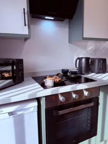 124B Modern Suite 1 bedroom apartment - Image 3