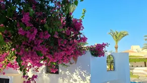 The blue house with pool, not overlooked, in Midoun - Image 5