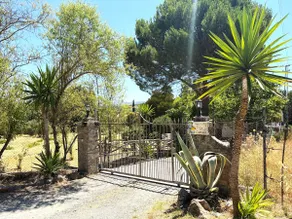 XXVII- La Cantara Farm - Green - Image 4