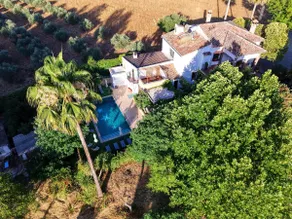XXVII- La Cantara Farm - Green - Image 5