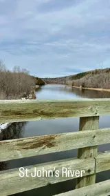Patti and Robin’s Heaven - Image 2
