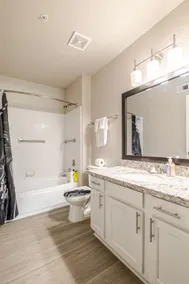 Gothic Blush King 2Bed near TMC and infront of NRG - Image 5