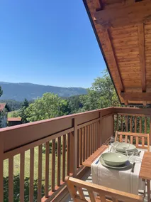 Panoramic attic with private garden - Image 2