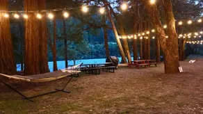Mid-Century Home on Avenue of the Giants | Hot Tub - Image 4