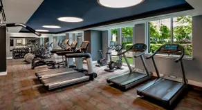 Modern Sleek 2BR|2BTH–Tysons|High-Rise w Amenities - Image 5