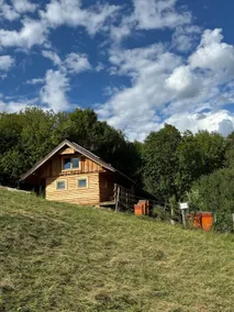 Bee-House - Image 5