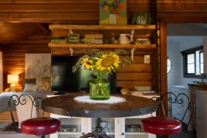 Cozy Willow Cabin | quiet, tranquil forest retreat - Image 5