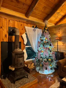 The “Saloon” Cabin Tellico Plains - Image 4