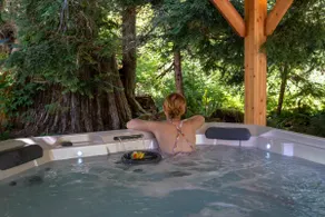 Hot Tub, Sauna, Cold Plunge - 1 mile from Rainier NP - Sleeps 8 - Image 3