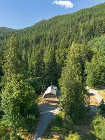 Hot Tub, Sauna, Cold Plunge - 1 mile from Rainier NP - Sleeps 8 - Image 2