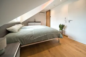 Exclusive vacation home in Friedrichsruhe - Image 4
