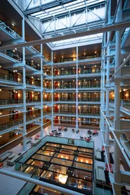 Native Manchester - Image 2