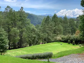 Sequoia cabin 15 minutes from Santa Fe - Image 5