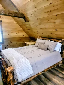 WildWood Cabin- secluded, Hot Tub - Image 3