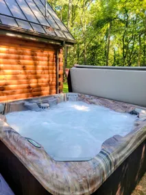 WildWood Cabin- secluded, Hot Tub - Image 5