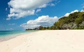 2BR Cottage, Walk to Brandons Beach | AC, WiFi - Image 4