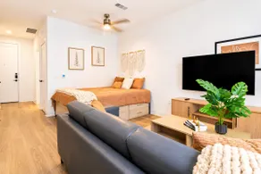 Suite in Downtown Houston | Shared Pool & Gym - Image 3