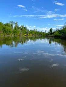Dave’s River House - Image 4